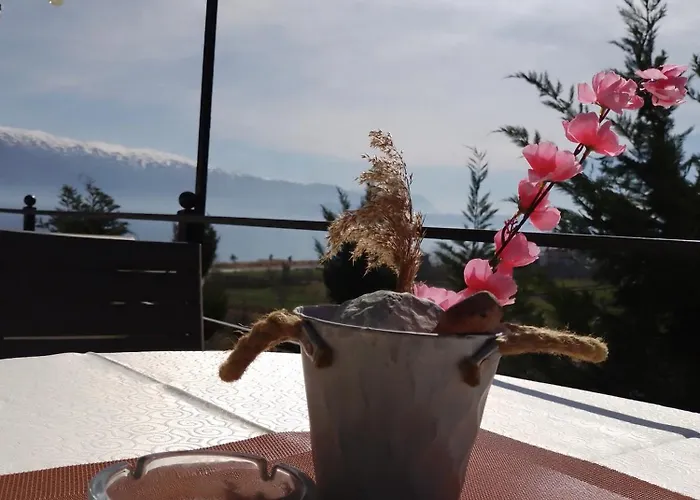 Stone Dream Bar Restaurant Guest house Udenisht